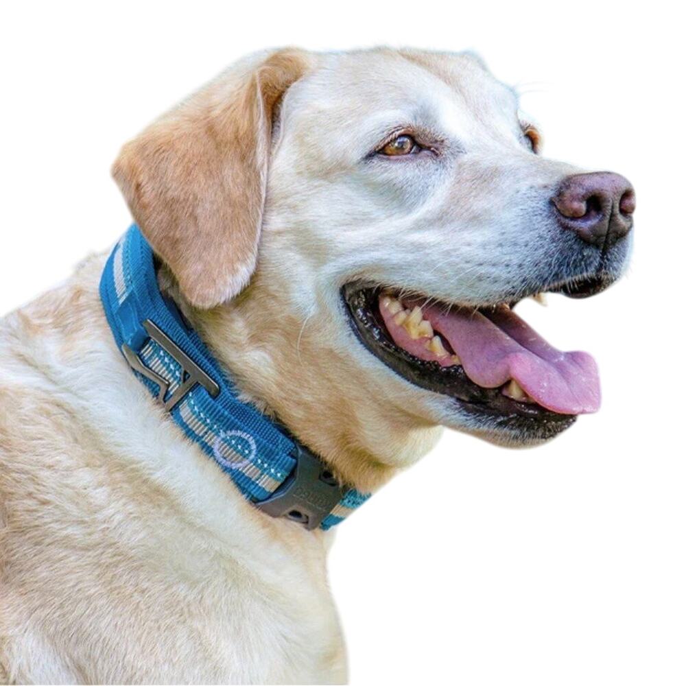 Kurgo Size L RSG Dog Collar‎ Blue Reflective Secure Buckle Closure Comfort New
